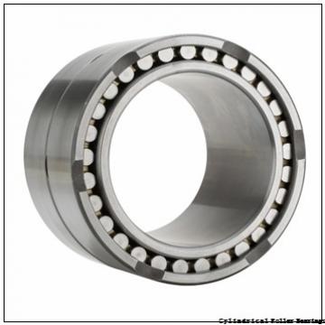 FAG NUP219-E-M1-C3  Cylindrical Roller Bearings
