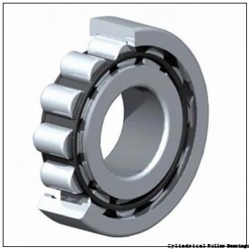 17 mm x 40 mm x 16 mm  FAG NJ2203-E-TVP2  Cylindrical Roller Bearings