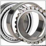 4.489 Inch | 114.031 Millimeter x 7.48 Inch | 190 Millimeter x 1.693 Inch | 43 Millimeter  LINK BELT M1318EHXW939  Cylindrical Roller Bearings